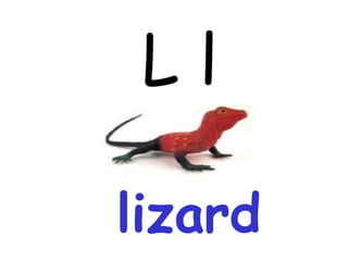 L l lizard 