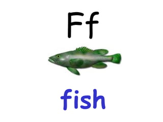 Ff fish 