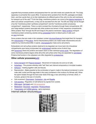 organelle that processes proteins and prepares them for use both inside and outside the cell. The Golgi
apparatus is somewhat like a post office. It receives items (proteins from the ER), packages and labels
them, and then sends them on to their destinations (to different parts of the cell or to the cell membrane
[1]
for transport out of the cell). From the Golgi, membrane proteins can move to the plasma membrane, to
other sub-cellular compartments, or they can be secreted from the cell. The ER and Golgi can be thought
of as the "membrane protein synthesis compartment" and the "membrane protein processing
compartment", respectively. There is a semi-constant flux of proteins through these compartments. ER
and Golgi-resident proteins associate with other proteins but remain in their respective compartments.
Other proteins "flow" through the ER and Golgi to the plasma membrane. Motor proteins transport
membrane protein-containing vesicles along cytoskeletal tracks to distant parts of cells such
as axon terminals.
Some proteins that are made in the cytoplasm contain structural features that target them for transport
into mitochondria or thenucleus. Some mitochondrial proteins are made inside mitochondria and are
coded for by mitochondrial DNA. In plants, chloroplastsalso make some cell proteins.
Extracellular and cell surface proteins destined to be degraded can move back into intracellular
compartments upon being incorporated into endocytosed vesicles some of which fuse
with lysosomes where the proteins are broken down to their individual amino acids. The degradation of
some membrane proteins begins while still at the cell surface when they are separated by secretases.
Proteins that function in the cytoplasm are often degraded by proteasomes.

Other cellular processes[edit]
Active transport and Passive transport - Movement of molecules into and out of cells.
Autophagy - The process whereby cells "eat" their own internal components or microbial invaders.
Adhesion - Holding together cells and tissues.
Reproduction - Made possible by the combination of sperm made in the testiculi (contained in some
male cells' nuclei) and the egg made in the ovary (contained in the nucleus of a female cell). When
the sperm breaks through the hard outer shell of the egg a new cell embryo is formed, which, in
humans, grows to full size in 9 months.
Cell movement: Chemotaxis, Contraction, cilia and flagella.
Cell signaling - Regulation of cell behavior by signals from outside.
DNA repair, Cell death and Cell senescence
Metabolism: Glycolysis, respiration, Photosynthesis
Transcription and mRNA splicing - gene expression.

Internal cellular structures[edit]

 