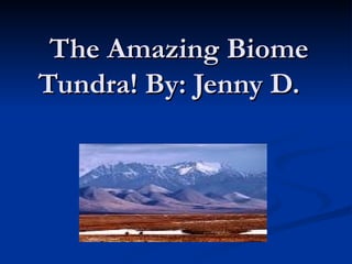 The Amazing Biome Tundra! By: Jenny D.    