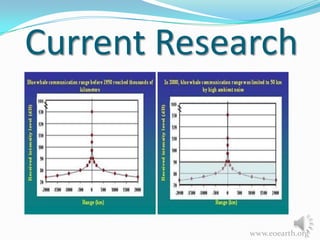 Current Research

www.eoearth.org

 