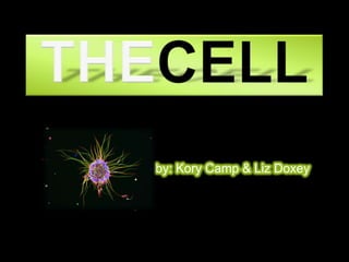 TheCell by: Kory Camp & Liz Doxey 