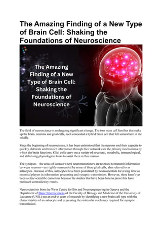 The Amazing Finding of a New Type
of Brain Cell: Shaking the
Foundations of Neuroscience
The field of neuroscience is undergoing significant change. The two main cell families that make
up the brain, neurons and glial cells, each concealed a hybrid brain cell that fell somewhere in the
middle.
Since the beginning of neuroscience, it has been understood that the neurons and their capacity to
quickly elaborate and transfer information through their networks are the primary mechanisms by
which the brain functions. Glial cells carry out a variety of structural, metabolic, immunological,
and stabilising physiological tasks to assist them in this mission.
The synapses—the areas of contact where neurotransmitters are released to transmit information
between neurons—are tightly surrounded by some of these glial cells, also referred to as
astrocytes. Because of this, astrocytes have been postulated by neuroscientists for a long time as
potential players in information processing and synaptic transmission. However, there hasn’t yet
been a clear scientific consensus because the studies that have been done to prove this have
produced contradictory results.
Neuroscientists from the Wyss Centre for Bio and Neuroengineering in Geneva and the
Department of Basic Neurosciences of the Faculty of Biology and Medicine of the University of
Lausanne (UNIL) put an end to years of research by identifying a new brain cell type with the
characteristics of an astrocyte and expressing the molecular machinery required for synaptic
transmission.
 