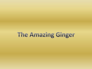The Amazing Ginger 