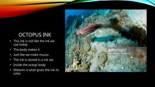 Octopus Inkt The amazing octopus | PPTX
