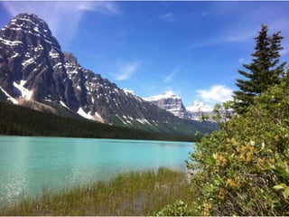 The amazing rocky mountains