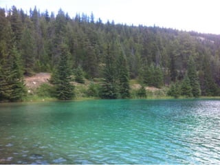 The amazing rocky mountains