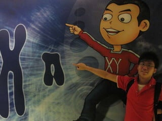 The Amazing Trip :-)
