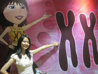 The Amazing Trip :-)