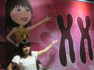 The Amazing Trip :-)