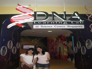 The Amazing Trip :-)
