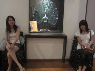 The Amazing Trip :-)
