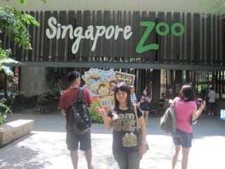 The Amazing Trip :-)