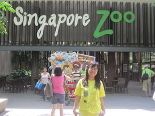 The Amazing Trip :-)