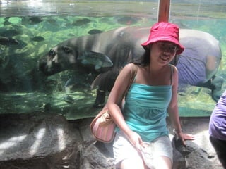 The Amazing Trip :-)