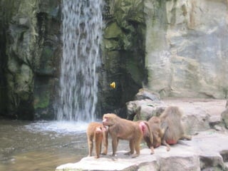 The Amazing Trip :-)