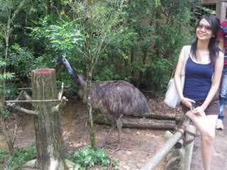 The Amazing Trip :-)