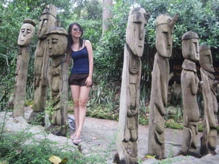 The Amazing Trip :-)