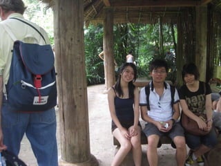 The Amazing Trip :-)