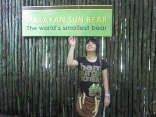 The Amazing Trip :-)