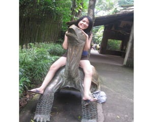 The Amazing Trip :-)