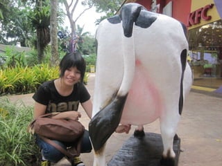 The Amazing Trip :-)
