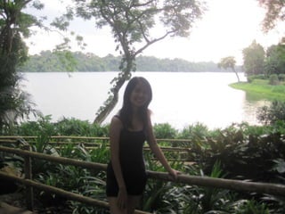 The Amazing Trip :-)