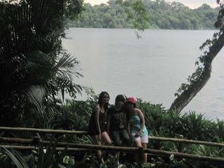 The Amazing Trip :-)