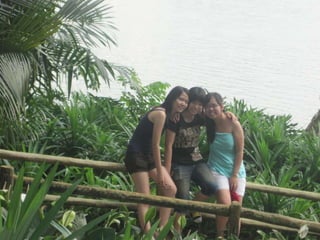 The Amazing Trip :-)