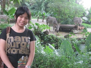 The Amazing Trip :-)