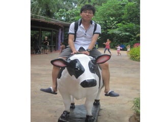 The Amazing Trip :-)