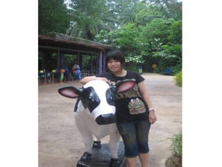 The Amazing Trip :-)