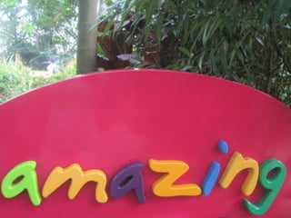The Amazing Trip :-)