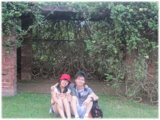The Amazing Trip :-)