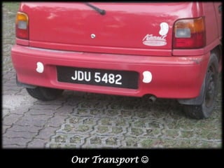 Our Transport ?