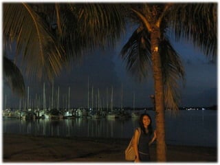 The Amazing Trip :-)