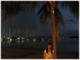 The Amazing Trip :-)