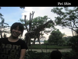 Pei Shin