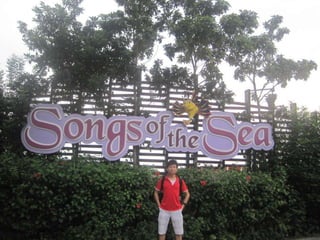 The Amazing Trip :-)