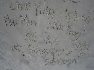 The Amazing Trip :-)