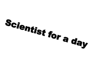 Scientist for a day