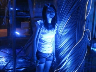The Amazing Trip :-)
