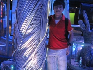 The Amazing Trip :-)
