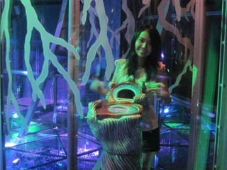 The Amazing Trip :-)