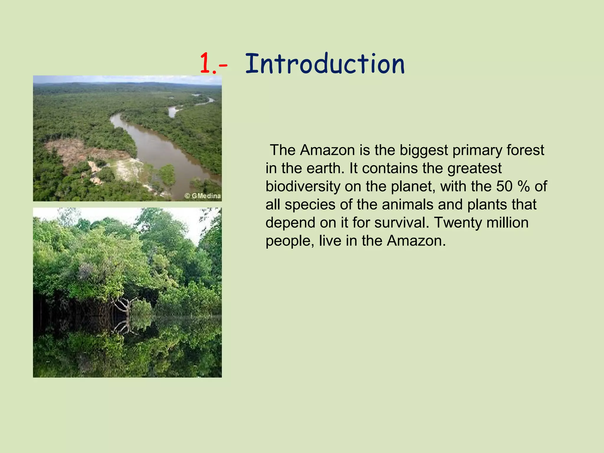 1.- Introduction
The Amazon is the biggest primary forest
in the earth. It contains the greatest
biodiversity on the planet, with the 50 % of
all species of the animals and plants that
depend on it for survival. Twenty million
people, live in the Amazon.
 