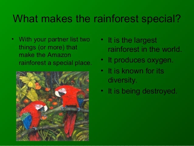 the decreasing numbers of rain forest in the world Most soybean cultivation takes place outside the rainforest in the neighboring cerrado grassland ecosystem and in areas that have already been cleared logging results in forest degradation but rarely direct deforestation. the decreasing numbers of rain forest in the world Most soybean cultivation takes place outside the rainforest in the neighboring cerrado grassland ecosystem and in areas that have already been cleared logging results in forest degradation but rarely direct deforestation.