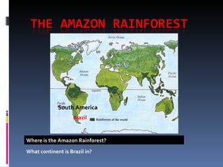South America
Brazil
Where is the Amazon Rainforest?
What continent is Brazil in?
 