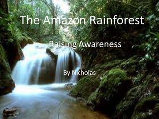 The Amazon Rainforest
    Raising Awareness

       By Nicholas
 