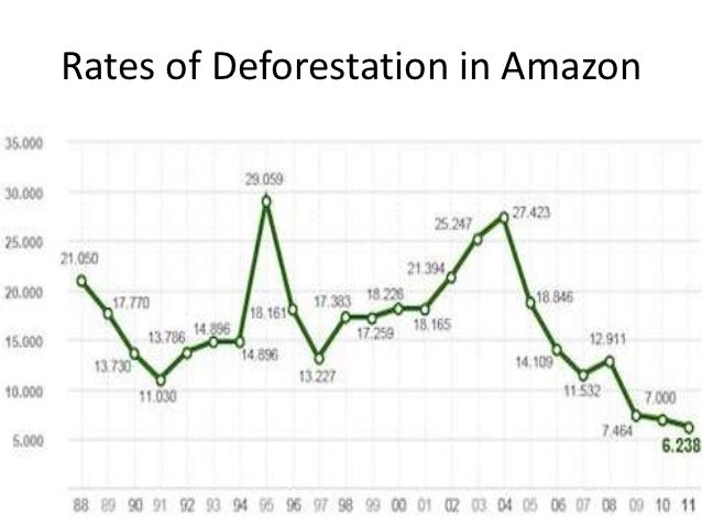 The Amazon Rainforest