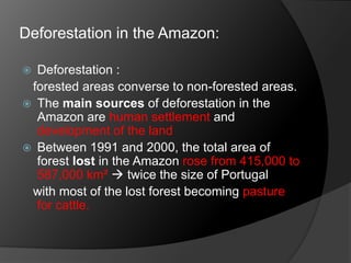 Deforestation in the Amazon:
 Deforestation :
forested areas converse to non-forested areas.
 The main sources of deforestation in the
Amazon are human settlement and
development of the land
 Between 1991 and 2000, the total area of
forest lost in the Amazon rose from 415,000 to
587,000 km²  twice the size of Portugal
with most of the lost forest becoming pasture
for cattle.
 